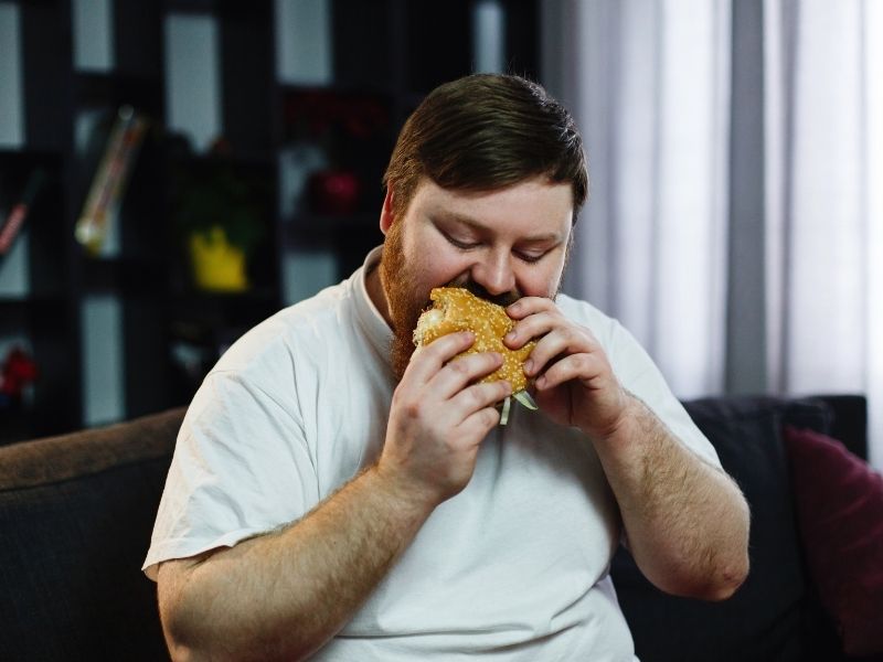 obeziteye-neden-olan-faktorler